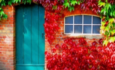 10 Easy Fall Maintenance Projects