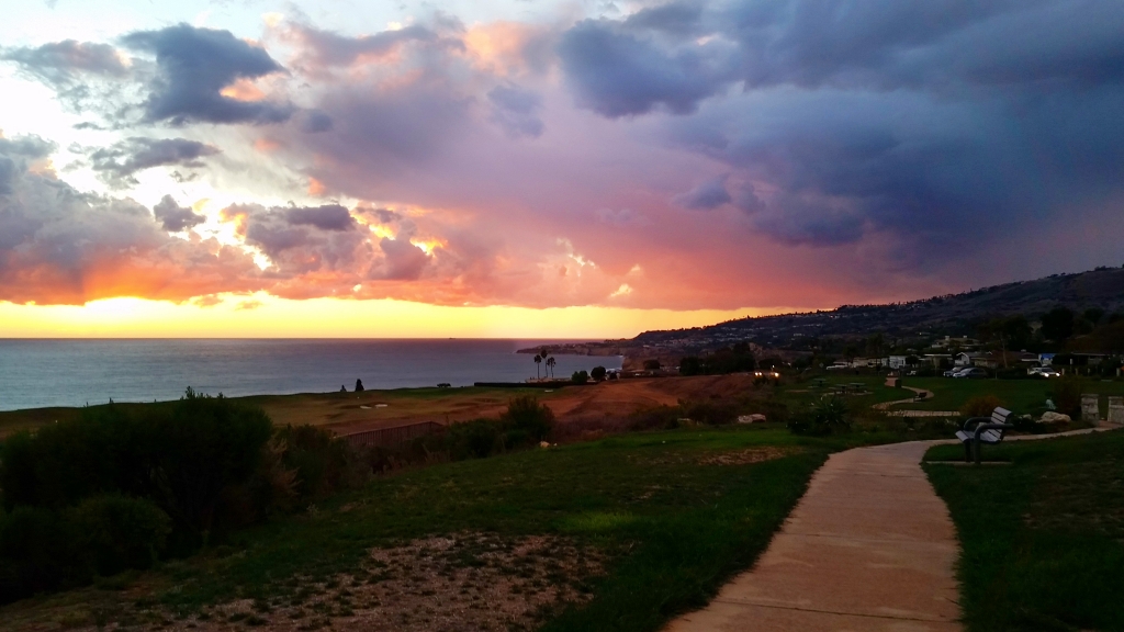 Sunset Bench