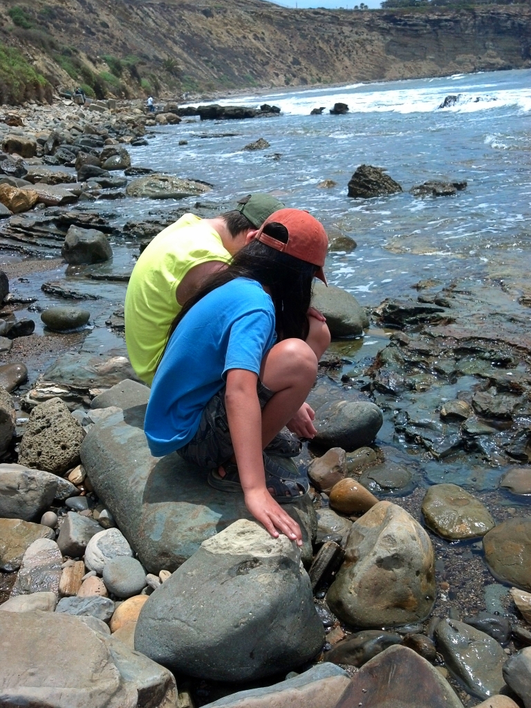 Tide pools at Wilders Addition Park
