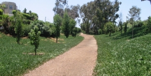 Veterans Parkway