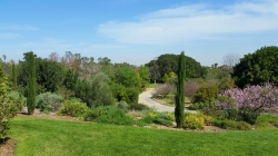 South Coast Botanic Garden
