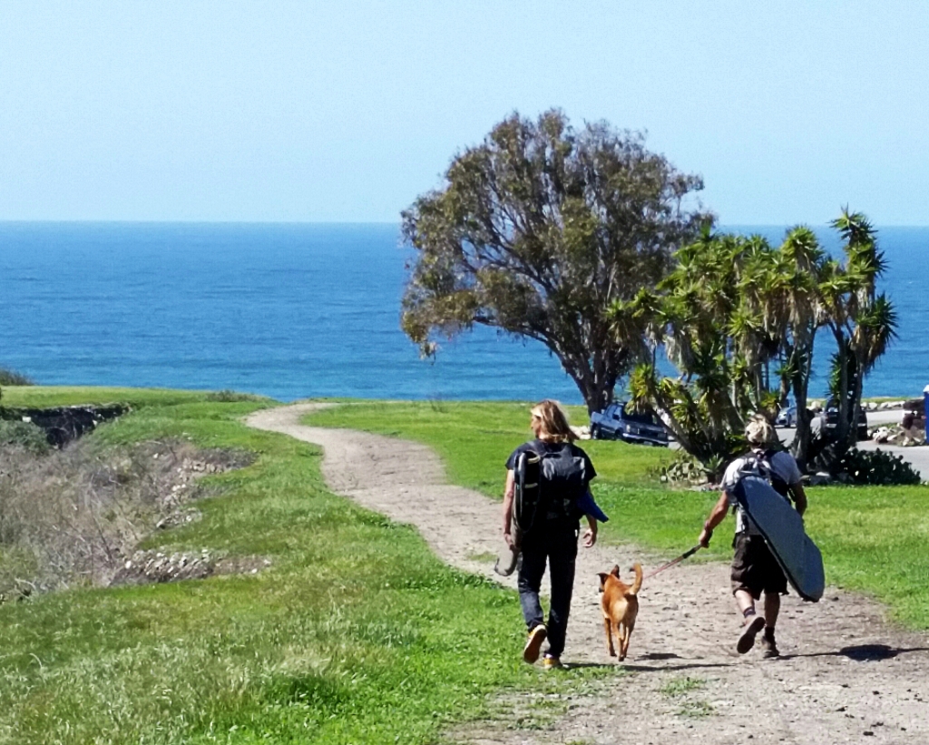 Lunada Bay Surfers