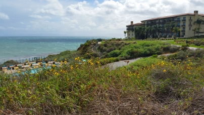 Terranea Resort