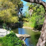 Gallery: San Pedro