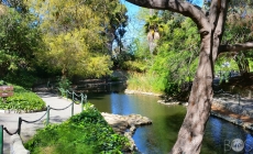 Gallery: San Pedro
