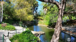 Gallery: San Pedro