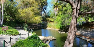 Gallery: San Pedro