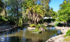 Gallery: Averill Park