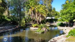 Gallery: Averill Park