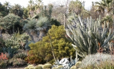Save Water, Power & Money with LADWP Rebates