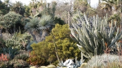 Save Water, Power & Money with LADWP Rebates