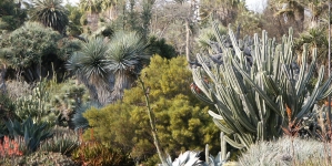 Save Water, Power & Money with LADWP Rebates