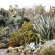 Save Water, Power & Money with LADWP Rebates