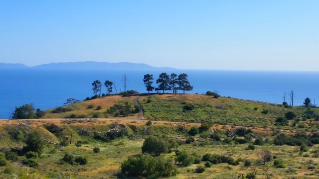 Portuguese Bend Reserve