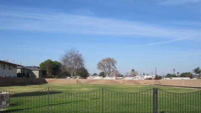 Irene Lewis Park