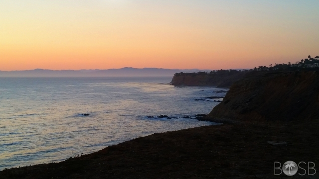 Point Vicente View