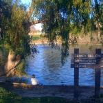 Polliwog Park