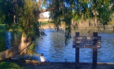 Polliwog Park