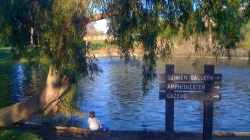 Polliwog Park