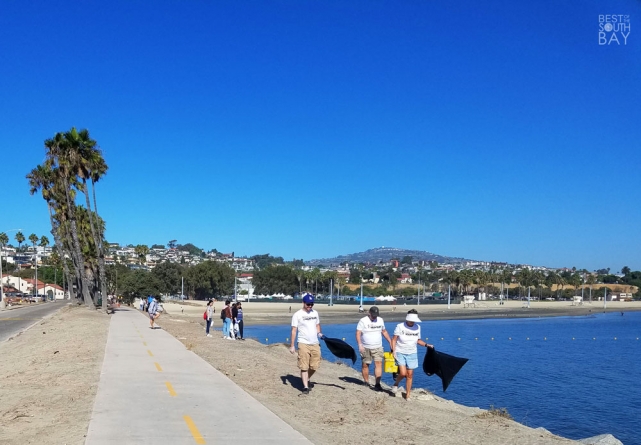 Beach Cleanup
