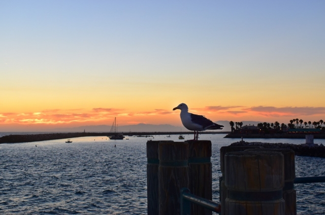 Redondo Beach Pier