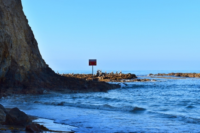 Abalone Cove Shoreline Park