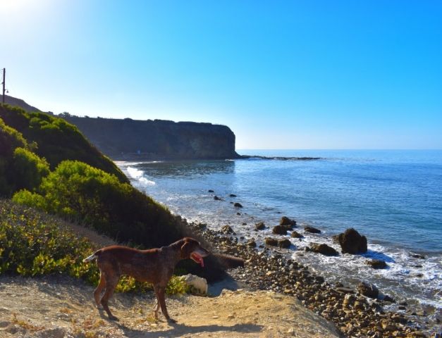 Abalone Cove Shoreline Park