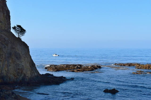 Abalone Cove Shoreline Park