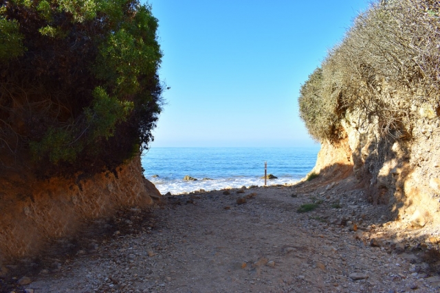 Abalone Cove Shoreline Park