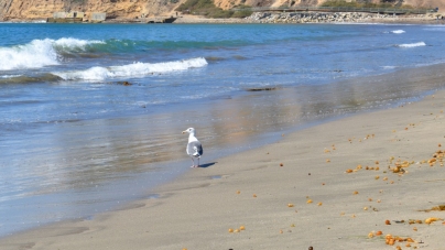 Cabrillo Beach Recreational Complex