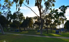 Charles H. Wilson Park