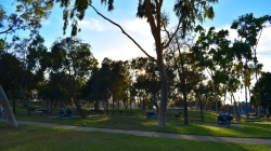 Charles H. Wilson Park