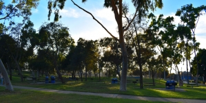 Charles H. Wilson Park