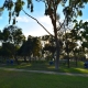 Charles H. Wilson Park