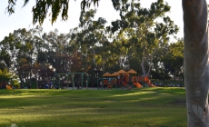 Discover Torrance