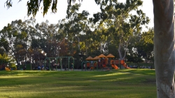 Discover Torrance