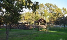 Gallery: Torrance