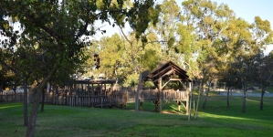 Gallery: Torrance