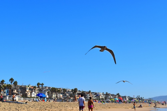 el-porto-beach-manhattan-beach