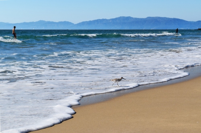 el-porto-beach-manhattan-beach
