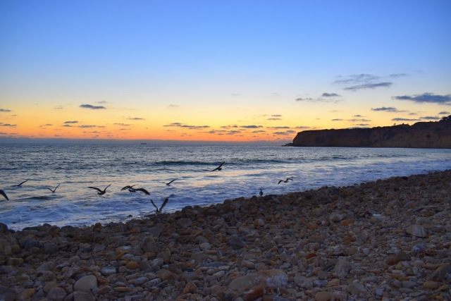 Portuguese Bend Beach Club
