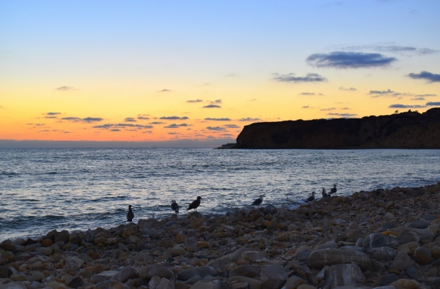 Portuguese Bend Beach Club