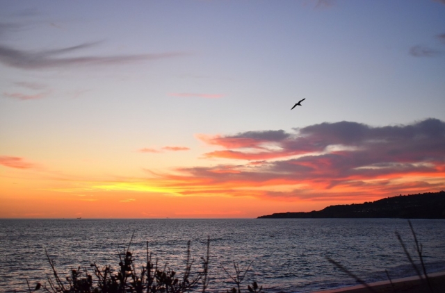 Rancho Palos Verdes Beach