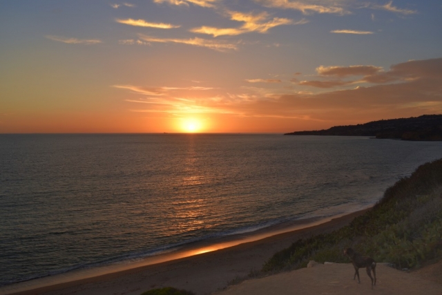 Rancho Palos Verdes Beach