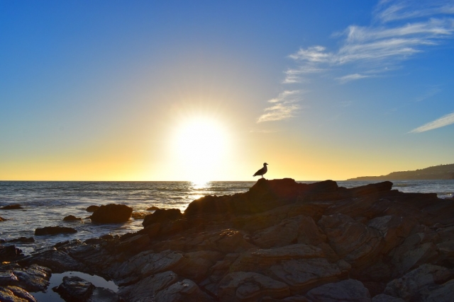 Rancho Palos Verdes Beach