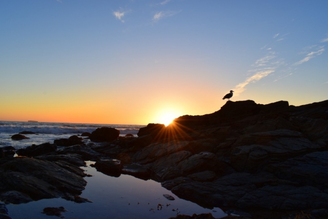 Rancho Palos Verdes Beach