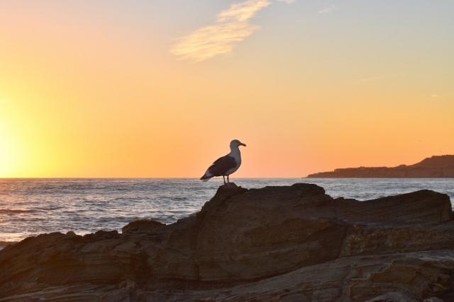 Rancho Palos Verdes Beach