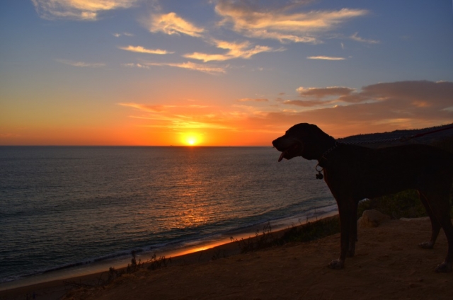 Rancho Palos Verdes Beach