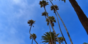 Royal Palms County Beach