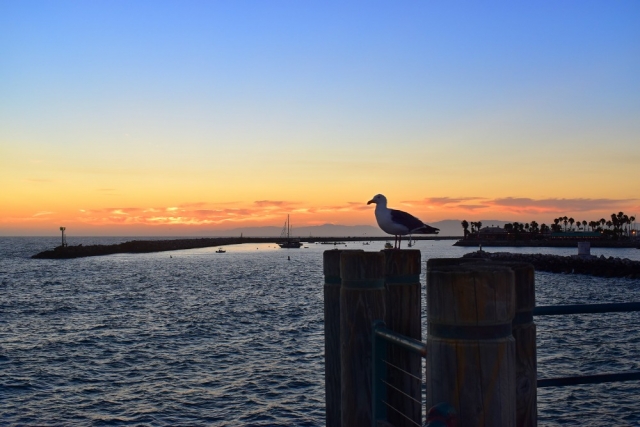 Redondo Beach Pier